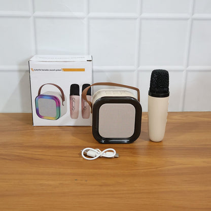 B Grade Portable Karaoke Speaker (1 Set)